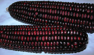Organic Purple Corn - The Nutritional Power Of Nature. Wallpaper