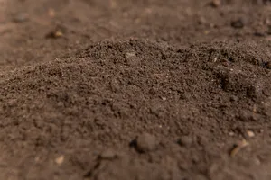 Organic Soil For Healthy Gardening Wallpaper