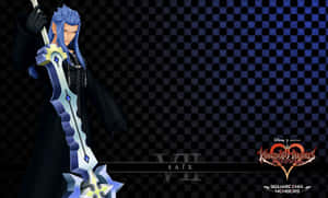 Organization 13 Members Assemble In Kingdom Hearts Wallpaper Wallpaper