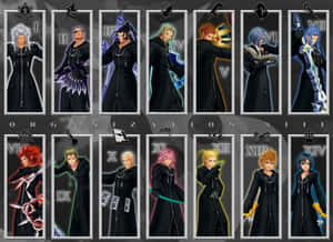 Organization Xiii Members From The Kingdom Hearts Series Wallpaper