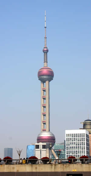 Oriental Pearl Tower Wallpaper