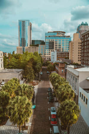 Orlando Downtown Street View Wallpaper