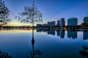 Orlando Lake Eola Park Dusk Skyline Wallpaper