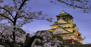 Osaka Castle Gloomy Sky Wallpaper