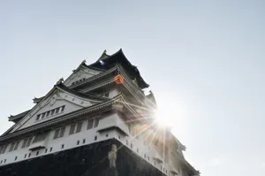 Osaka Castle Roof Design Wallpaper