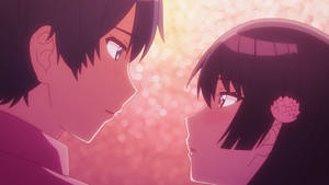 Osamake Shiro And Maru Eye Contact Wallpaper