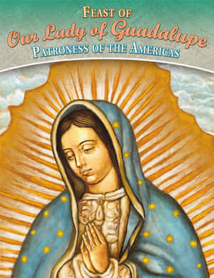 Our Ladyof Guadalupe Feast Illustration Wallpaper