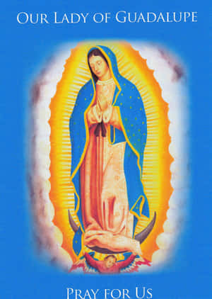 Our Ladyof Guadalupe Pray For Us Wallpaper