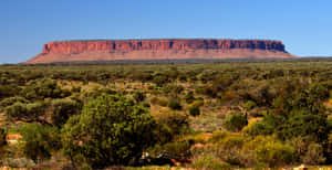 Outback_ Mesa_ Landscape Wallpaper