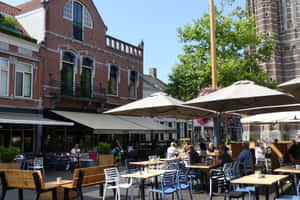 Outdoor Cafein Oosterhout Netherlands Wallpaper