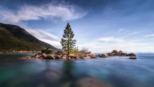 Outdoor Island With Tree Wallpaper