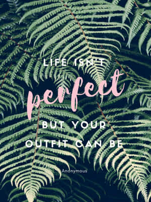 Outfit Perfection Ferns Quote Wallpaper