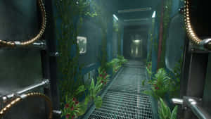 Outlast Trials Creepy Laboratory Corridor Wallpaper