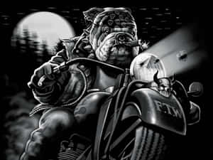 Outlaw Dog Motorcycle Night Wallpaper