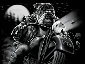 Outlaw Dog Motorcycle Night Wallpaper