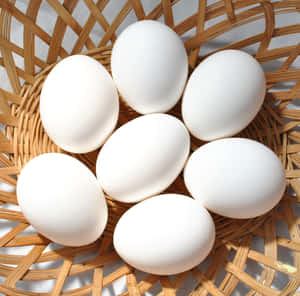 Oval White Eggs Wallpaper