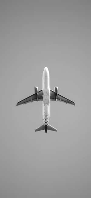 Overhead_ Airplane_ Black_and_ White Wallpaper