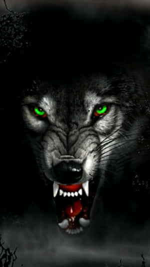Overt Wolf Wallpaper