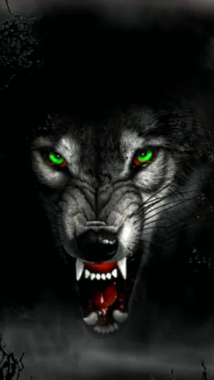 Overt Wolf Wallpaper