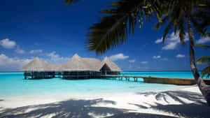 Overwater Bungalows At Breathtaking Bora Bora Beach Wallpaper