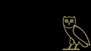 Ovoxo, The Modern Fashion And Lifestyle Brand Wallpaper