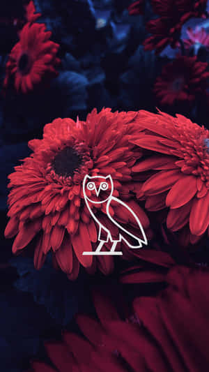 Ovoxo Weekender Wallpaper