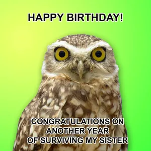 Owl Happy Birthday Sister Greeting Wallpaper