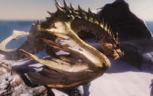 Paarthurnax, The Wise Dragon Of Skyrim Wallpaper