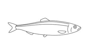 Pacific Herring Line Art Wallpaper
