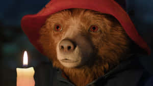 Paddington Bear Candlelight Scene Wallpaper