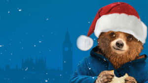 Paddington Bear Christmas Hat Wallpaper