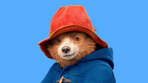 Paddington Bear In Blue Coat Wallpaper