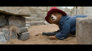 Paddington Bear In Blue Coat Wallpaper