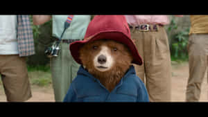 Paddington Bear In Blue Coat Wallpaper