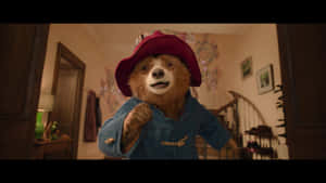 Paddington Bear In Blue Coat Wallpaper