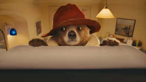 Paddington Bear In Kitchen Wallpaper