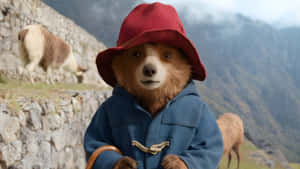 Paddington Bear In The Mountains Wallpaper
