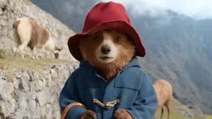 Paddington Bear In The Mountains Wallpaper