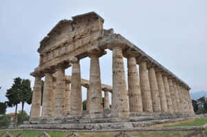 Paestum Corner Wallpaper