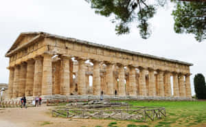 Paestum Tourist Standing Wallpaper