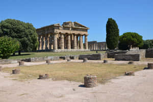 Paestum Trunk Columns Wallpaper