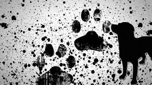 Paint Splash Paw Print Wallpaper