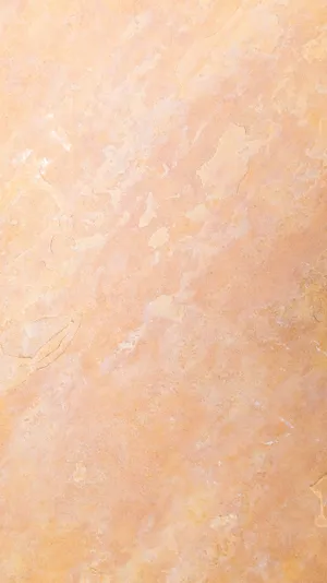 Paintings In Beige Minimalist Motif Wallpaper