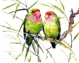 Pair Of Love Birds Admiringly Sitting On A Branch Wallpaper
