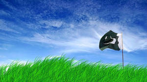 Pakistan Flag On Grassy Field Wallpaper