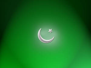 Pakistan Flag Two Toned Green Wallpaper