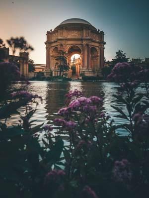 Palace Of Fine Arts Beautiful Flowers Wallpaper