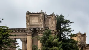 Palace Of Fine Arts Plant Wallpaper