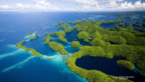 Palau Micronesia Islands Wallpaper