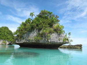 Palau Rock Narrow Bottom Wallpaper